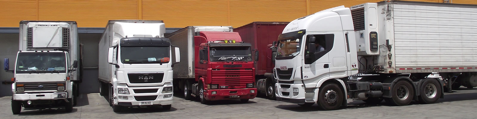 Transporte profesional